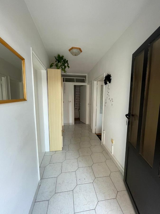 Apartman Renata Цриквениця Екстер'єр фото